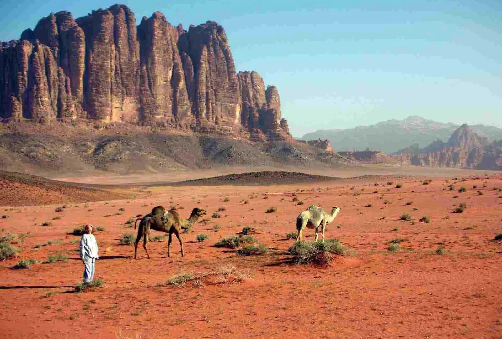 Wadi Rum Mundo Camp Aqaba Capsule hotel