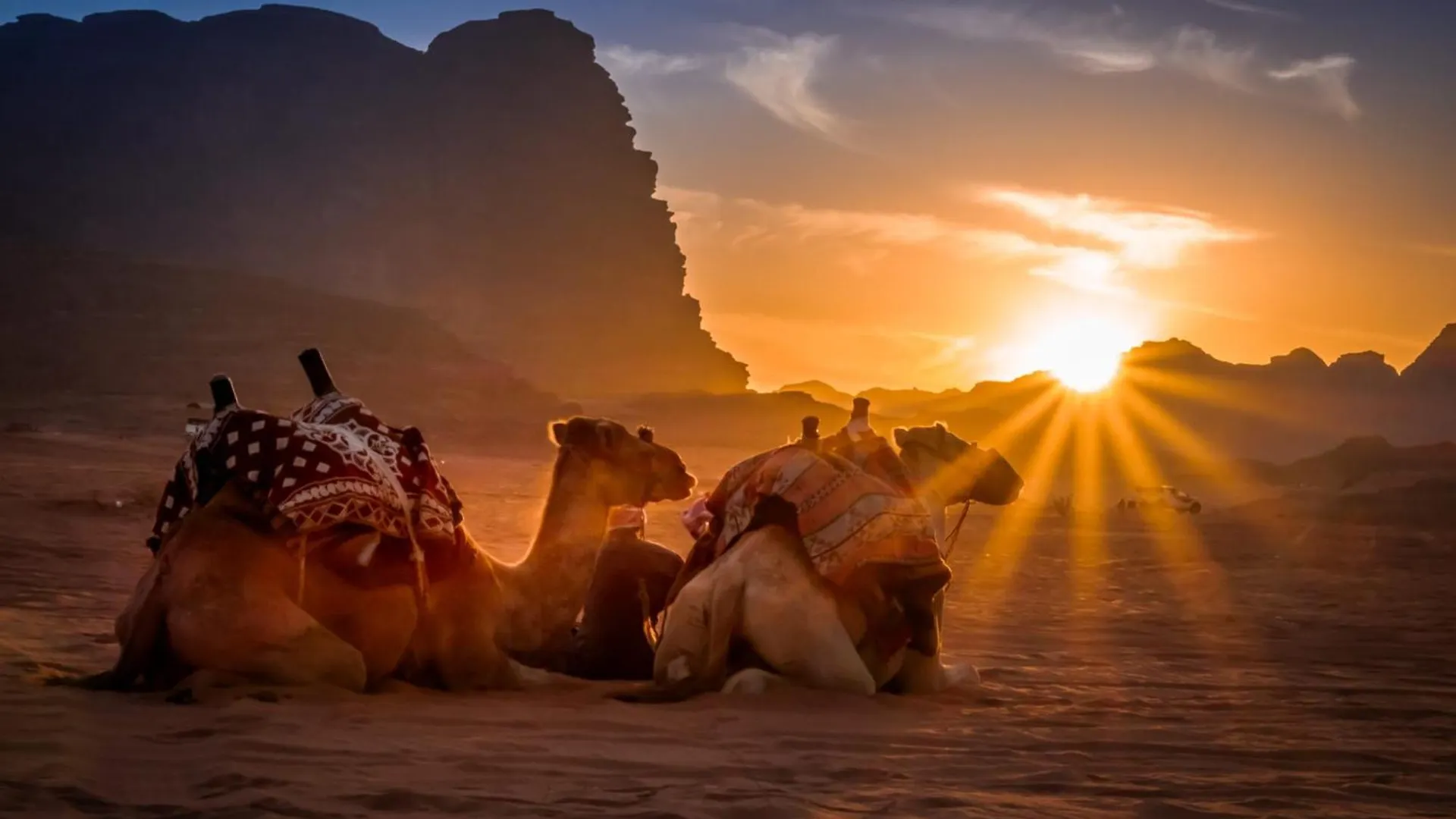 Wadi Rum Mundo Camp Aqaba Capsule hotel