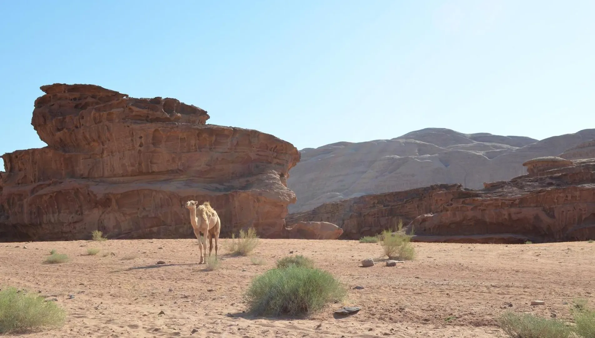 Capsule hotel Wadi Rum Mundo Camp Aqaba Jordan